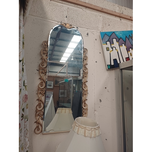 37 - Vintage Decorative Pier Mirror (112cm x 52cm)