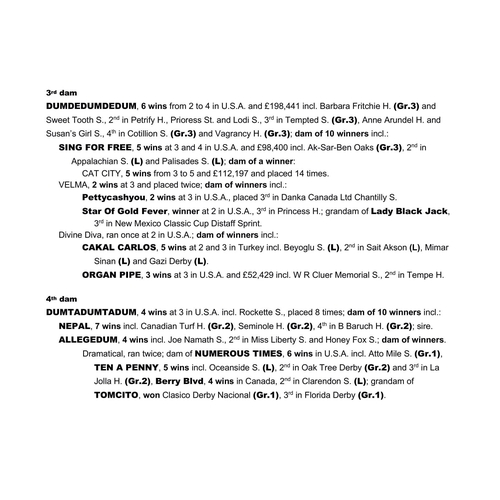 54 - WITHDRAWN - FORWARD SPIKE chesnut gelding (SWE) Swipe - Forward Planning (Orientate)