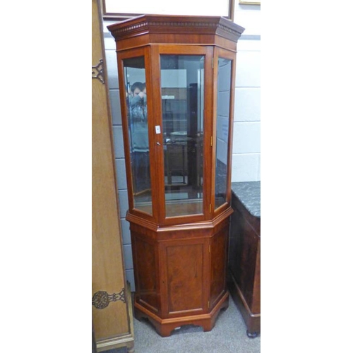 6 - 21ST CENTURY CORNER DISPLAY CASE WITH GLAZED PANEL DOOR OVER PANEL DOOR