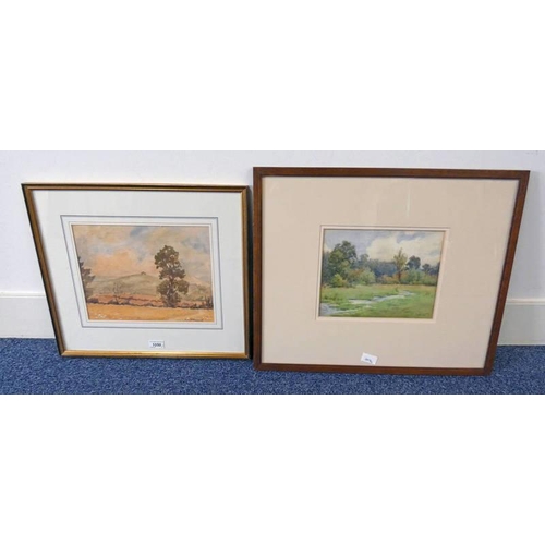 1050 - FRAMED WATERCOLOUR COUNTRY SCENE SIGNED G R GOWANS - 21 X 26 CM & FRAMED WATERCOLOUR  COUNTRY SCENE ... 