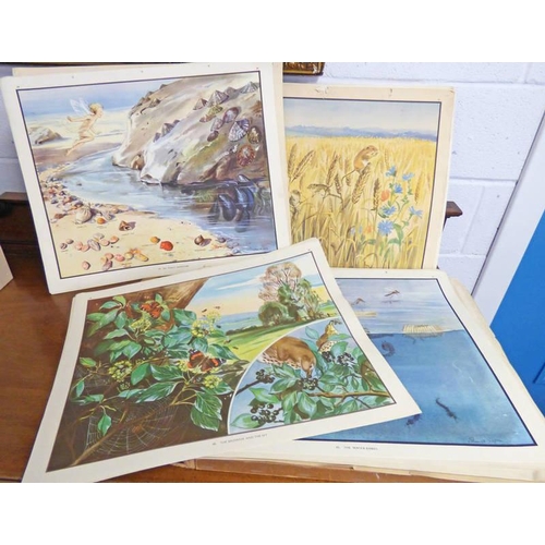 1533 - THE ENID BLYTON NATURE PLATES DRAWN BY EILEEN SOPER IN ORIGINAL BOX APPROX 60