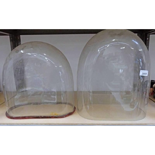 3005 - 2 LARGE 19TH CENTURY GLASS DOMES