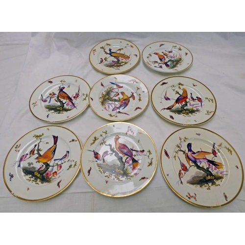 3344 - SET OF 8  19TH CENTURY DERBY PORCELAIN PLATES DECORATED WITH BIRDS