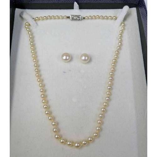 35 - PAIR OF LARGE CULTURED PEARL EARRINGS & CULTURED PEARL NECKLACE IN HAMILTON & INCHES BOX