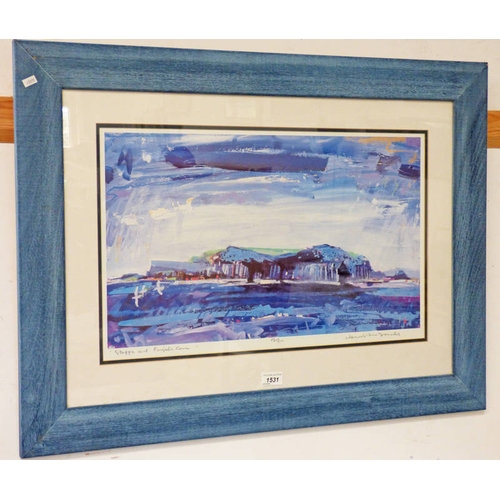 1531 - FRAMED PRINT STARRA AND FINGELS CAVE NO 25 OF 800 SIGNED HAMISH MACDONALD - 33 X 56 CMS