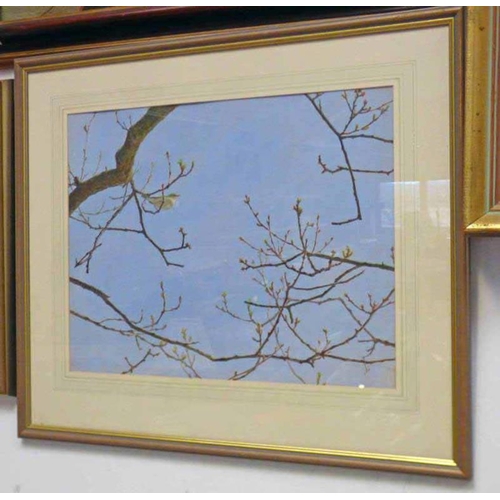 1061 - IAN CLAXTON,  CHIFFCHAFF - APRIL SIGNED FRAMED ACRYLIC 38  X  49 CM