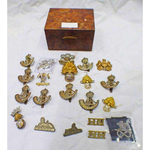 1568 - SELECTION OF CAP BADGES TO INCLUDE DLI, WALES, THE WELCH, ETC IN A WOODEN BOX