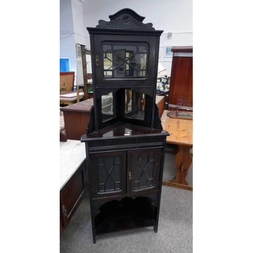 139 - LATE 19TH CENTURY MAHOGANY CORNER CABINET WITH GLASS PANEL DOOR AND MIRROR BACK OVER 2 GLASS PANEL D... 