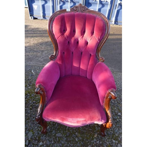 243 - 19TH CENTURY MAHOGANY FRAMED BUTTON BACK GENTLEMAN'S ARMCHAIR WITH CARVED DECORATION ON CABRIOLE SUP... 