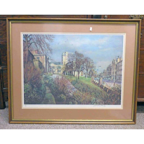 1066 - MCINTOSH PATRICK,  THE UNIVERSITY,  SIGNED PRINT NO 27 OF 500 71 X 88 CMS