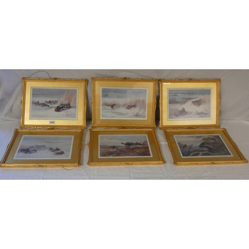 1450 - ARCHIBALD THORBURN GAME BIRDS SIGNED IN PENCIL SET OF 12 GILT FRAMED PRINTS PUBLISHED BY BAIRD CARTE... 