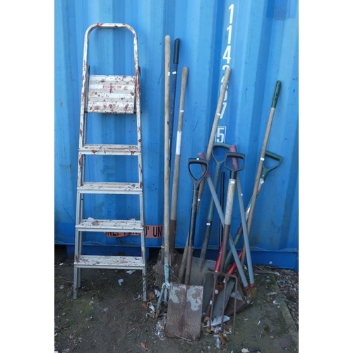 6062 - SELECTION OF GARDEN TOOLS AND STEP LADDER