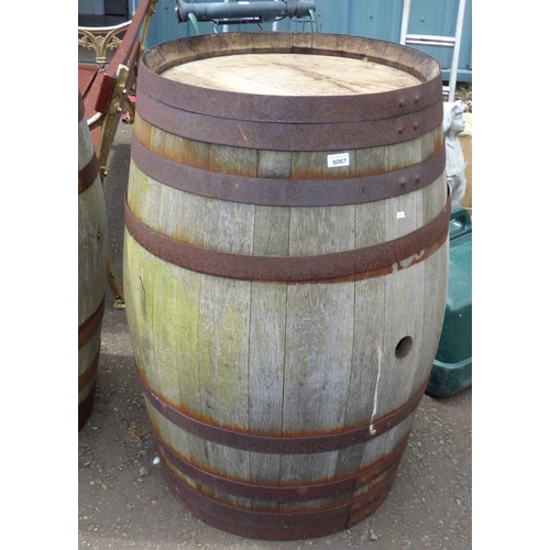 6067 - OAK WHISKEY BARREL WITH IRON BANDING DIAMETER 59CM X HEIGHT 101CM