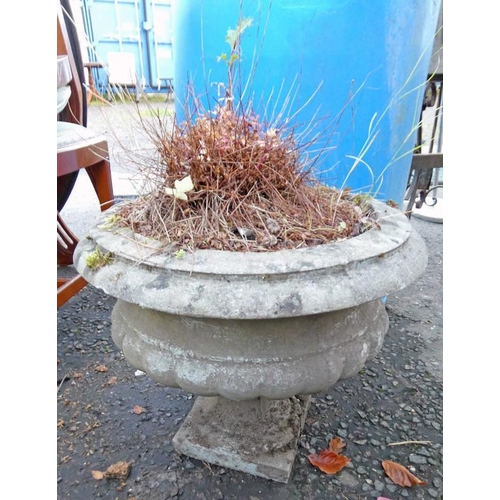 6067 - CONCRETE GARDEN PLANTER ON PLINTH BASE