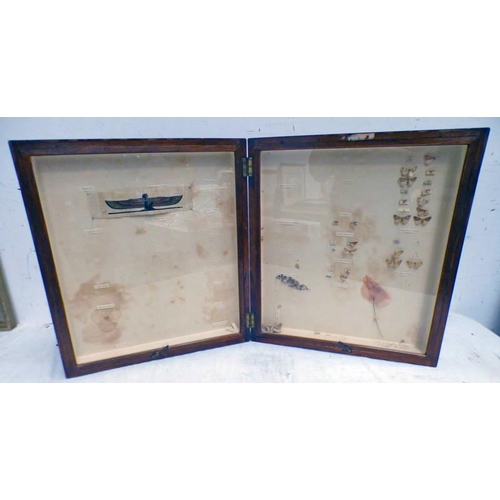 1459 - FOLDING GLAZED ENTOMOLOGY DISPLAY CASE WITH REMAINS OF SOME EXAMPLES