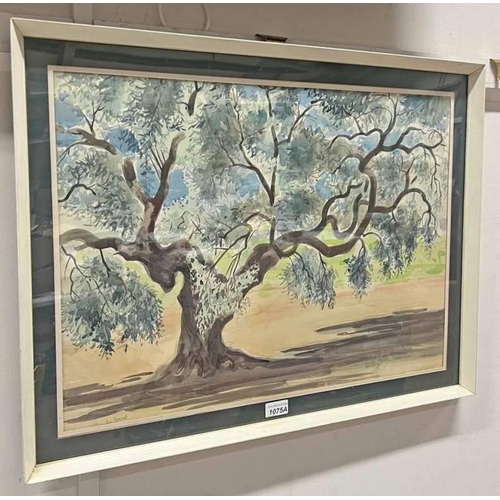 1075A - ALBERTO DUCE OLIVE TREES SIGNED FRAMED WATERCOLOUR 45CM X 63 CM