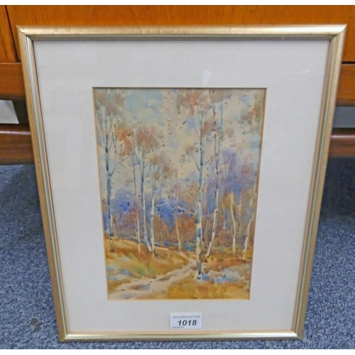 1018 - SAM POPE  SILVER BIRCHES SIGNED GILT FRAMED WATERCOLOUR 23 X 16 CM