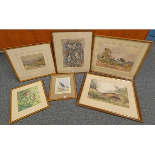 1062 - T S HALLIDAY, 3 FRAMED WATERCOLOURS OF BIRDS, ALL SIGNED, LARGEST 31 X 22 CM, LINDSAY CLARK, BRIDGE ... 