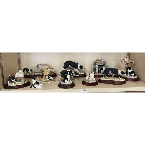 3407 - SELECTION OF BORDER FINE ARTS FEATURING COLLIE DOGS, TALLEST 16CM OVER 1 SHELF