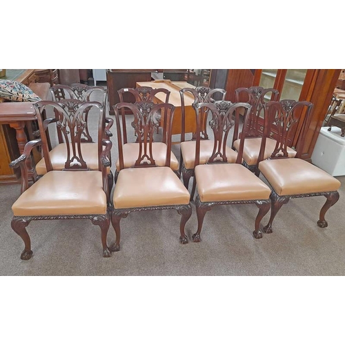 58 - SET OF 8 19TH CENTURY MAHOGANY DINING CHAIRS ON BALL & CLAW SUPPORTS INCLUDING 2 ARMCHAIRS