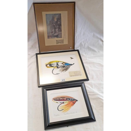 1019 - FRAMED LADY AMHERST FLY PRINT WITH FISHING FLY AND ORIGINAL FORREST & SONS, PAPER CASE, FRAMED PICTU... 