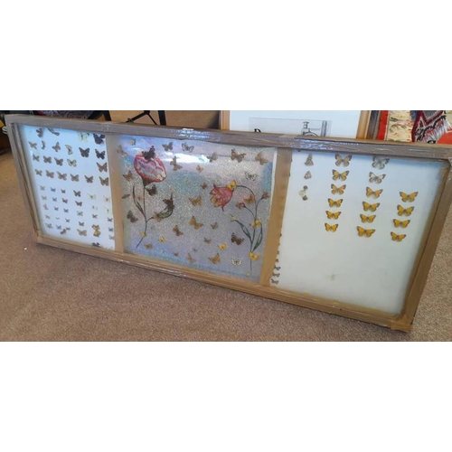 1466 - FRAMED ENTOMOLOGY DISPLAY CONSISTING OF MANY EXAMPLES IN A GLAZED CASE 169 X 60 CM