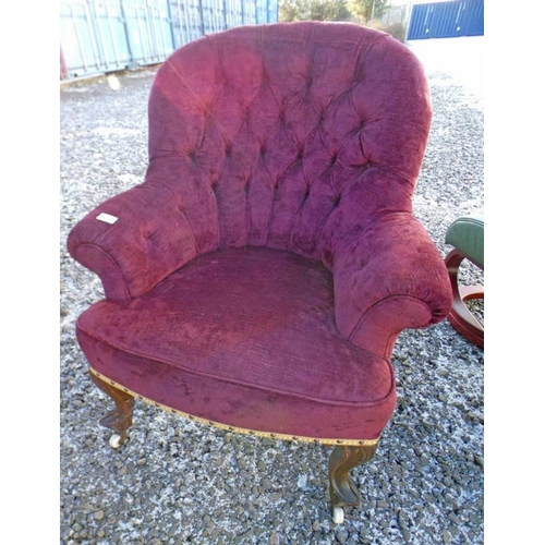 5500 - 19TH CENTURY BUTTON BACK ARMCHAIR ON MAHOGANY CABRIOLE SUPPORTS