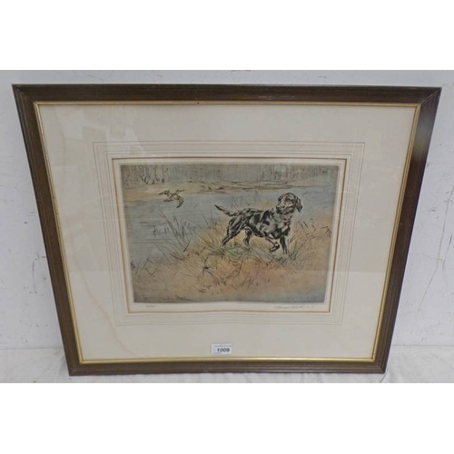 1009 - HENRY WILKINSON,  BLACK LABRADOR & SNIPE SIGNED IN PENCIL FRAMED COLOURED ETCHING 24 X 34 CM