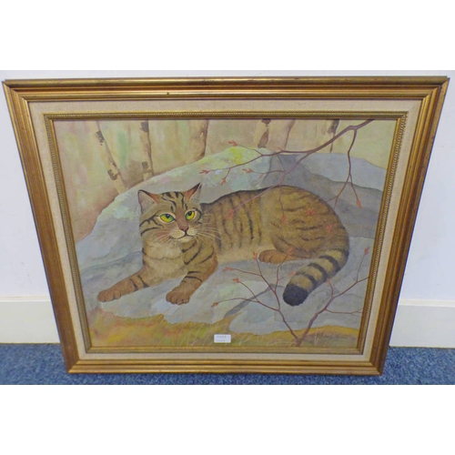 1149A - RALSTON GUDGEON WILD CAT SIGNED FRAMED WATERCOLOUR 49.5 X 62CM