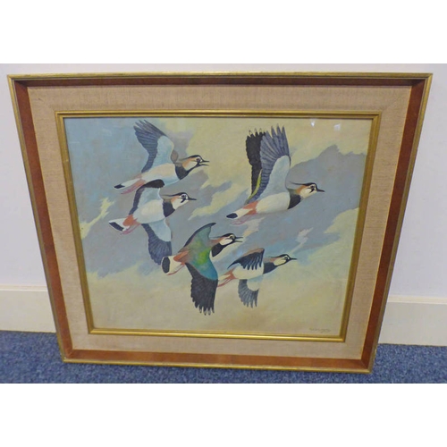 1149B - RALSTON GUDGEON LAPWINGS SIGNED FRAMED WATERCOLOUR 49 X 59.5CM