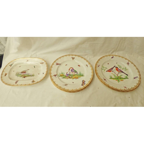 3412 - 4 19TH CENTURY PORCELAIN PLATES DECORATED WITH BIRDS & BUTTERFLIES 26CM DIAMETER, & AN OBLONG PLATE ... 