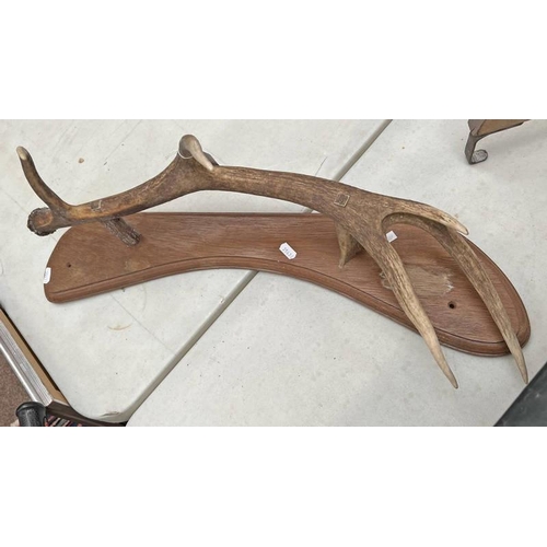 1649 - DEER ANTLER COAT RACK ON WOOD PLAQUE , 65 CM LONG