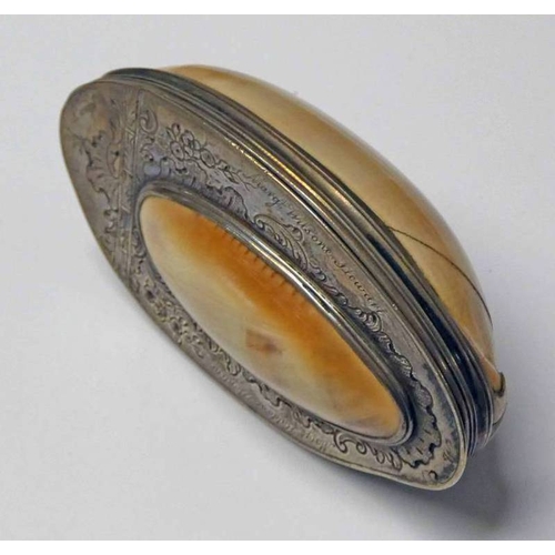 260 - LATE 18TH CENTURY SCOTTISH SILVER COWRIE SHELL SNUFFBOX, UNMARKED - 9CM