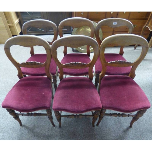 5059 - SET OF 6  19TH CENTURY MAHOGANY CHAIRS WITH DECORATIVE CARVED BELTING ON SPLAYED SUPPORT.