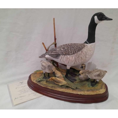 3002 - BORDER FINE ARTS FIGURE CANADA GOOSE & GOSLINGS NO.97 WITH BOX