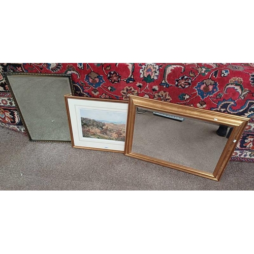 1103 - C STANLEY TODD, GROUSE ON THE MOOR, SIGNED IN PENCIL, FRAMED PRINT, 29 X 39 CM, TOGETHER WITH BRASS ... 