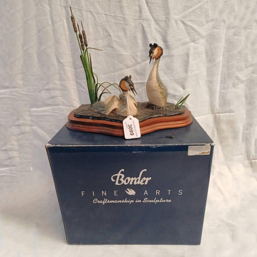 3099 - BOXED BORDER FINE ARTS COURTING GREBES