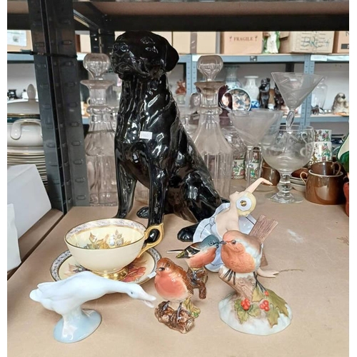 3236 - BLACK BESWICK LABRADOR, 6 AYNSLEY, BESWICK, LLADRO & 1 OTHER BALLERINA PORCELAIN FIGURES ON 1/2 SHEL... 