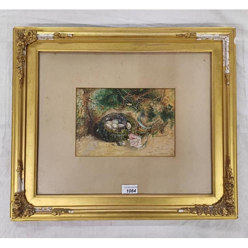 1084 - THE CIRCLE OF VINCENT CLARE BIRDS NEST & FLOWERS,  UNSIGNED  GILT FRAMED WATERCOLOUR 17 X 24 CM