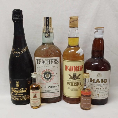 2011X - SELECTION OF WHISKY ETC TO INCLUDE HAIG, TEACHERS, FREIXENET, ETC