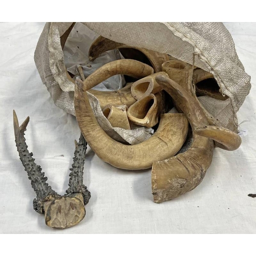 1060 - VARIOUS HORNS AND ANTLERS IN A BAG