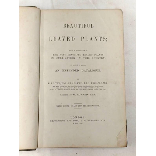 2152 - BEAUTIFUL LEAVED PLANTS; BEING A DESCRIPTION OF THE MOST BEAUTIFUL LEAVED PLANTS IN CULTIVATION IN T... 
