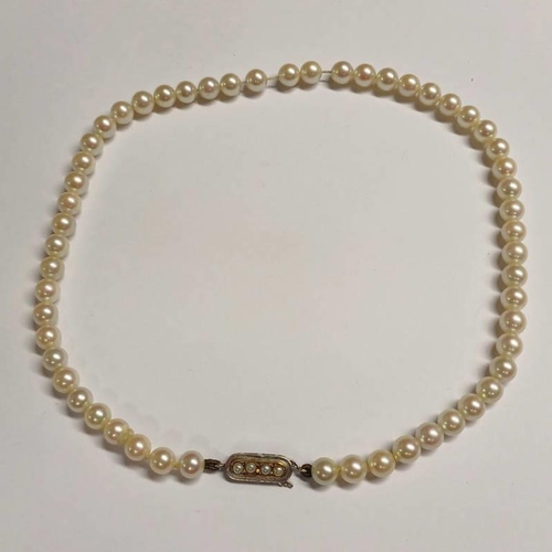 68 - CULTURED PEARL SINGLE STRAND NECKLACE ON A 9CT GOLD PEARL SET CLASP - 37 CM LONG