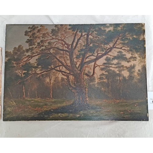 1033 - JAMES GILES WOODLAND SCENE LABEL TO REVERSE UNFRAMED 19TH CENTURY OIL ON BOARD 34 X 51 CM