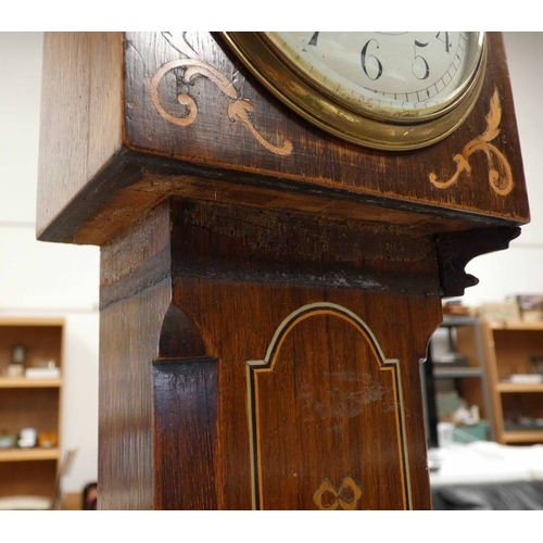 92 - 19TH CENTURY INLAID ROSEWOOD APPRENTICE PIECE LONG CASE CLOCK WITH BONE, OLIVE WOOD & BOX WOOD  - 49... 