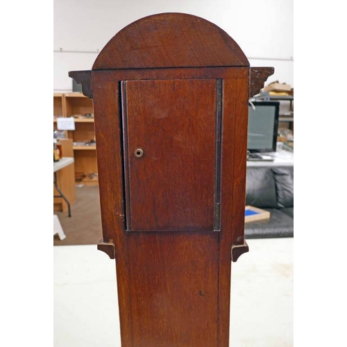 94 - 19TH CENTURY MAHOGANY APPRENTICE PIECE LONG CASE CLOCK WITH SATINWOOD, BOXWOOD & OLIVEWOOD INLAY. TH... 