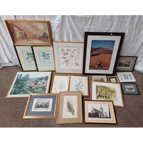 1058 - LARGE SELECTION OF PRINTS, ETC TO INCLUDE; JOHN NORM WOOD, COMMON FROGS AND TOADS FROM LIFE, FRAMED ... 