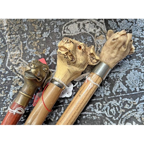 1244 - 3 MODERN DOG HEADED WALKING STICKS, 1 WITH BRASS HEAD, LARGEST 87CM