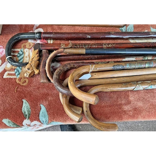 1289 - GOOD SELECTION OF WALKING STICKS INCLUDING 2 WITH VARIOUS BADGES, CARVED WOOD HANDLED STICK, ETC, LO... 