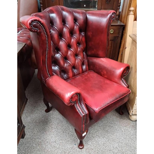 75 - OX-BLOOD RED LEATHER BUTTONED WINGBACK ARMCHAIR ON SHORT- QUEEN ANNE SUPPORTS. LABELLED MADE IN BRIT... 